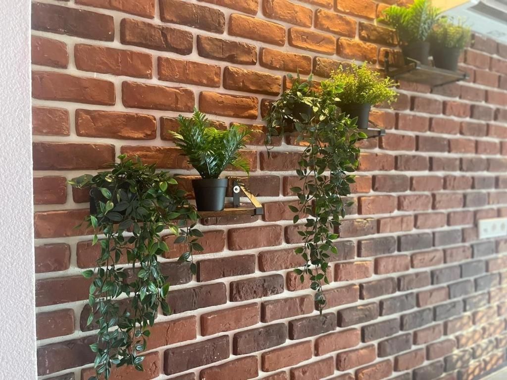 Luxurioese Loft Mit Garten Naehe Duesseldorf Messe Krefeld Exterior foto